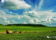 大草原写真,广袤天地间的自然画卷